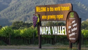 Read more about the article Why Should Choose Got Luxury Ride Limo Service for Your Napa Valley Wine Tour?