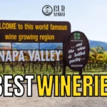 Discover the Best Wineries in Napa, CA, with Got Luxury Ride Limo Service