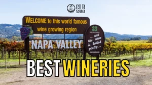 Read more about the article Discover the Best Wineries in Napa, CA, with Got Luxury Ride Limo Service