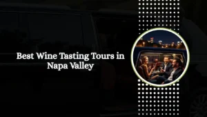 Read more about the article Best Wine Tasting Tours in Napa Valley with Got Luxury Ride